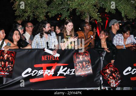 LOS ANGELES, CALIFORNIA, USA - SEPTEMBER 07: A general view of atmosphere at the Los Angeles Premiere Of Netflix's 'Cobra Kai' Season 5 held at the Los Angeles State Historic Park on September 7, 2022 in Los Angeles, California, United States. (Photo by Xavier Collin/Image Press Agency) Stock Photo