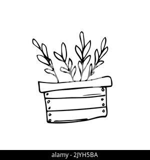 Wooden box with growing plants. Planting process. Home gardening, horticulture care for the environment concept. Vector illustration in cartoon style. Stock Vector