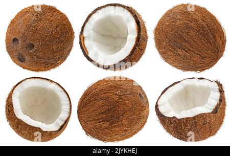 Coconuts isolated on white background Stock Photo