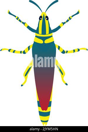 Grasshopper or Locust Vector Illustration Isolated on White Background. Stock Vector