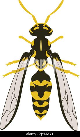 Wasp Hornet Bee Vector Illustration Stock Vector