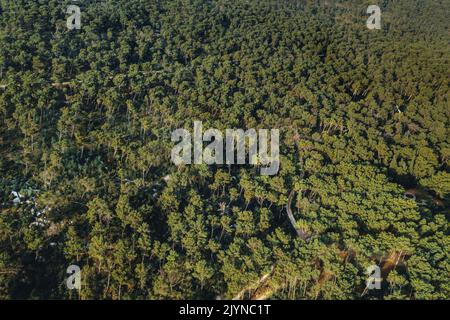 Top-down aerial view over a tropical island on the Adriatic coastline and dense forest. Textured natural background and pathways. Stock Photo