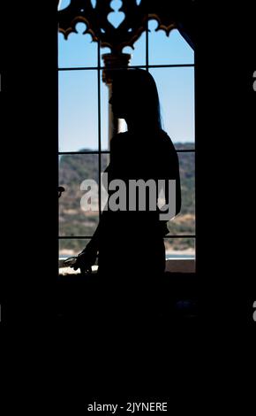 Silhouette of Woman stading in front of window looking to the horizon Stock Photo