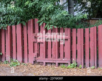 Small wood gate to a neglected garden during early September in Sweden Stock Photo