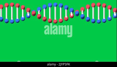 Image of dna strand spinning with copy space over green screen Stock Photo