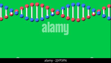 Image of dna strand spinning with copy space over green screen Stock Photo