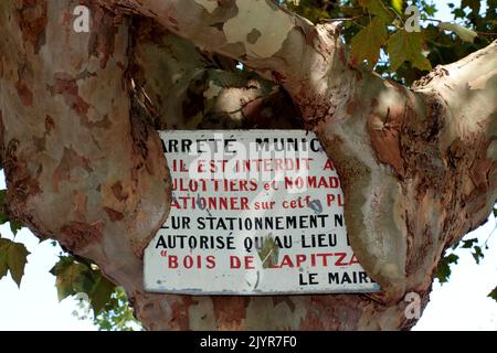 Prohibition sign covered by the bark of a plane tree Stock Photo
