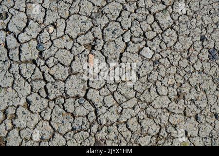 Abstract background texture old cracked asphalt pavement Stock Photo