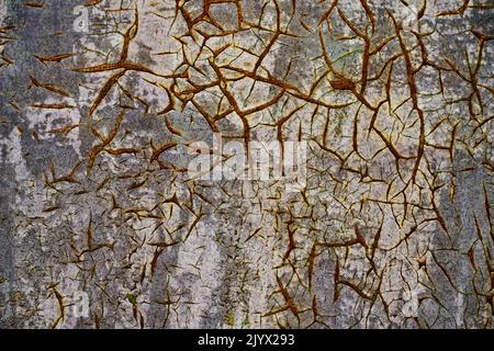 Old cracked gray paint on rusty metal surface Stock Photo