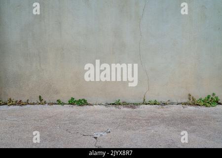 urban texture and background old gray grunge building wall and concrete pavement with some green weeds Stock Photo