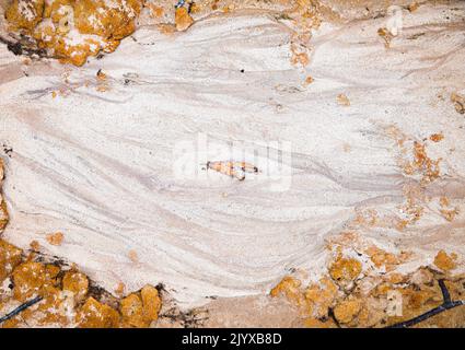 Yellow fall leaf isolated on white sand with fallen leaves and twigs surrounding Stock Photo