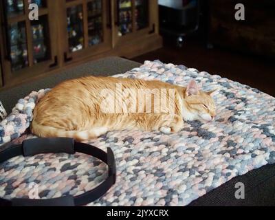 Mika the orange tabby sleeping Stock Photo