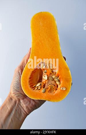 Half a butternut pumpkin on hand in a bright background Stock Photo