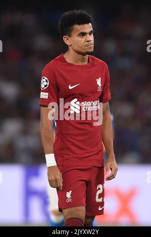 Naples, Italy. 7 Sep, 2022. Luis Diaz of Liverpool FC during the Uefa Champions League match between SSC Napoli and Liverpool FC at Stadio Diego Armando Maradona Naples Italy on 07 September 2022. Credit:Franco Romano/Alamy Live News Stock Photo