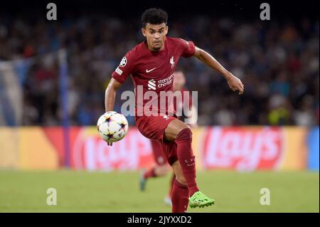 Naples, Italy. 7 Sep, 2022. Luis Diaz of Liverpool FC during the Uefa Champions League match between SSC Napoli and Liverpool FC at Stadio Diego Armando Maradona Naples Italy on 07 September 2022. Credit:Franco Romano/Alamy Live News Stock Photo