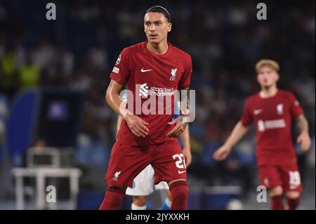 Naples, Italy. 7 Sep, 2022. Darwin Nunez of Liverpool FC during the Uefa Champions League match between SSC Napoli and Liverpool FC at Stadio Diego Armando Maradona Naples Italy on 07 September 2022. Credit:Franco Romano/Alamy Live News Stock Photo