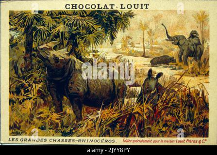 Coloured Illustration depicting a series of animals being hunted entitled 'The Great Hunt'; rhinoceros. Stock Photo