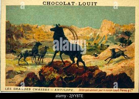 Coloured Illustration depicting a series of animals being hunted entitled 'The Great Hunt'; antelopes. Stock Photo