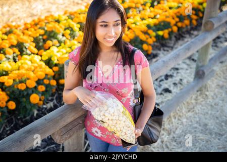 Fall Celebration Portrait of Young Asian Woman Standing in Front of a Field of Orange and Yellow Marigolds | Eating Kettle Co Stock Photo