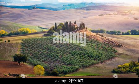 Hills, olive gardens and small vineyard under rays of morning sun, Italy, Tuscany. Famous Tuscany landscape with curved road and cypress, Italy, Europ Stock Photo