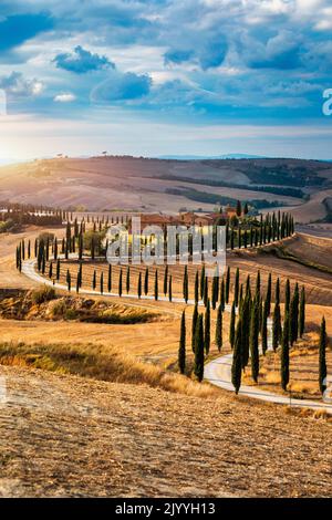 Hills, olive gardens and small vineyard under rays of morning sun, Italy, Tuscany. Famous Tuscany landscape with curved road and cypress, Italy, Europ Stock Photo