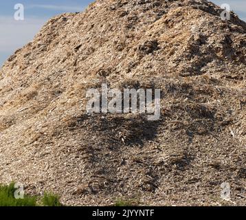 A large pile of sawdust from wood after wood processing, waste from wood production in the form of sawdust Stock Photo