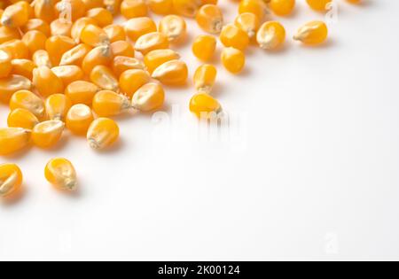 Dried corn kernels placed on white background with copy space. Corn for popcorn. Stock Photo