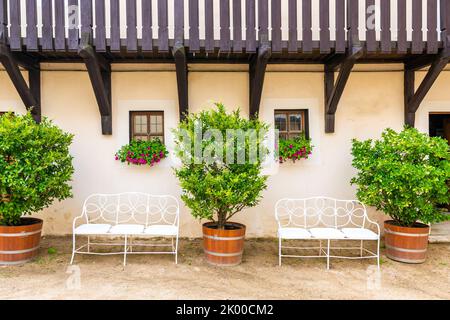 Bench under the window with flower. Big bushes next to the bench with fresh green leaves. Old home building in Europe, vintage exterior style. Stock Photo