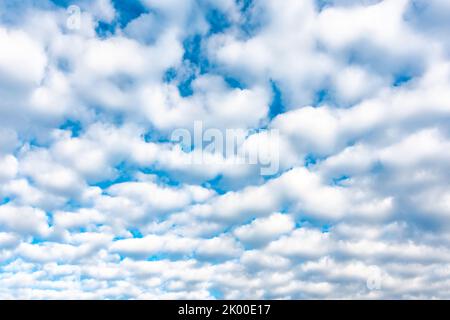 Dramatic cloud texture. White clouds placed on blue sky background. Nice cloudscape after sunrise. Summer weather. Stock Photo