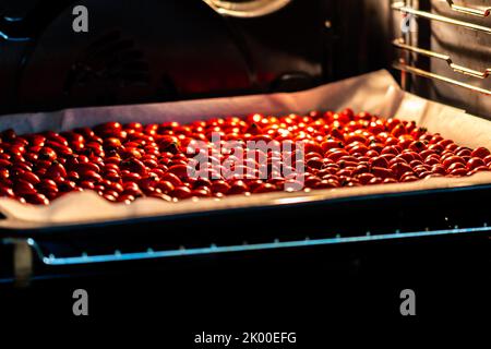 Rose hips (latin name Fructus cynosbati) are drying in oven. Dried rose hips are important source of vitamins in alternative medicine. Colorful image Stock Photo