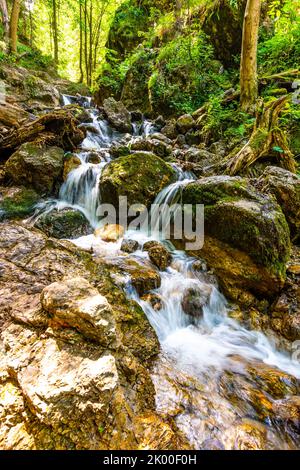 Beautiful pure waterfall in Slovakia national park Mala Fatra - Janosikove Diery, near the Terchova village. Fresh water stream on big rocks in green Stock Photo