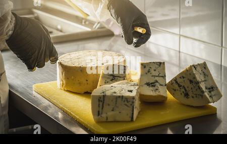 A farmer in black gloves cuts a head of spicy gorgonzola cheese with blue mold with a slicer into pieces. Stock Photo