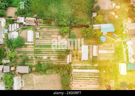 Home Plantations At Summer Day. Close-up Aerial View On Houses Of Small Village. Houses And Vegetable Gardens. Village Gardens. Household Plots Stock Photo