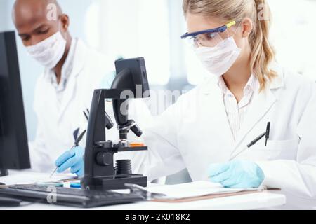 Behind every succesful product is a good research team. Two scientists working in the lab while making notes. Stock Photo