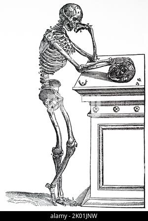 A human skeleton, seen from the front, resting the bones of his