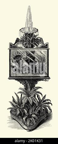 An old Victorian engraving of a design for a decorative aquarium and open fernery water feature. It is from a book of 1890. Above the fish tank is a fountain and at its base an informal rockery. The material used for the metalwork is mostly zinc with a steel/iron central pillar supporting the glass tank. The water is re-circulated by using hydro pneumatics. Stock Photo