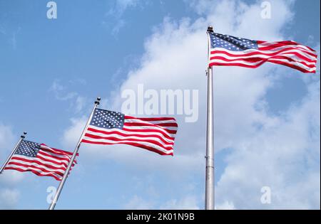 American flags flying around the Washington Monument, Famous landmark on the National Mall in Washington DC. USA. Stock Photo