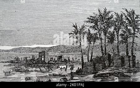 The annual inundation of the Nile. Stock Photo