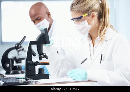 Research helps improve modern medicine. Two scientists working in the lab while making notes. Stock Photo