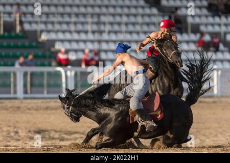 Two wrestlers try to unbalance the opponent on top of their horses during a game of Er Enish at the World Nomad Games 2018 hosted in Kyrgyzstan. Stock Photo