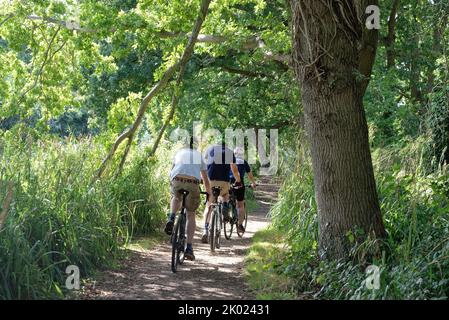 Three cyclists riding on the towpath near Papercourt lock on the River Wey navigation canal on a summers day, near Ripley Surrey England UK Stock Photo