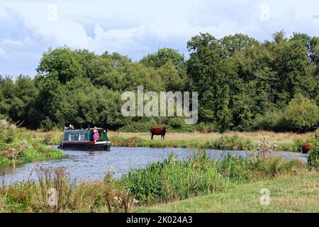 A lone narrow boat cruising on the River Wey navigation canal near Ripley on a summers day Surrey England UK Stock Photo