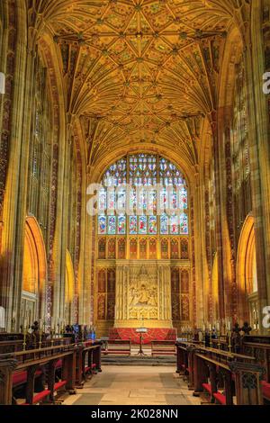 The nave and chancel with its magnifcent fan-vaulted roof in Sherborne Abbey, Dorset, England, UK Stock Photo