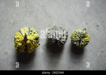 Three green mini decorative pumpkins on grey floor. Stock Photo
