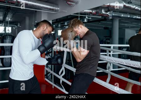 Two sparring partners in boxing gloves practice kicks Stock Photo