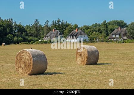 bales of straw, thatched houses, Nieblum, Föhr Island, North Friesland, Schleswig-Holstein, Germany Stock Photo