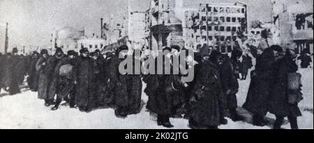 Nazi soldiers and officers captured in Stalingrad. February 1943 Stock Photo