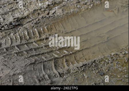 Close up of car tire tracks on a dirt road with watery mud after rain Stock Photo