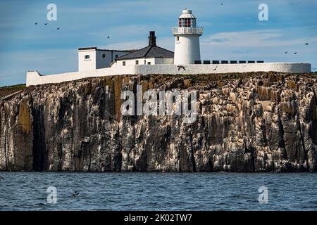 Inner Farne Lighthouse, Farne Islands, Northumberland, England Stock Photo