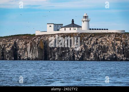 Inner Farne Lighthouse, Farne Islands, Northumberland, England Stock Photo